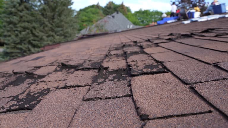 Best Green or Eco-Friendly Roofing Solutions  in Redway, CA
